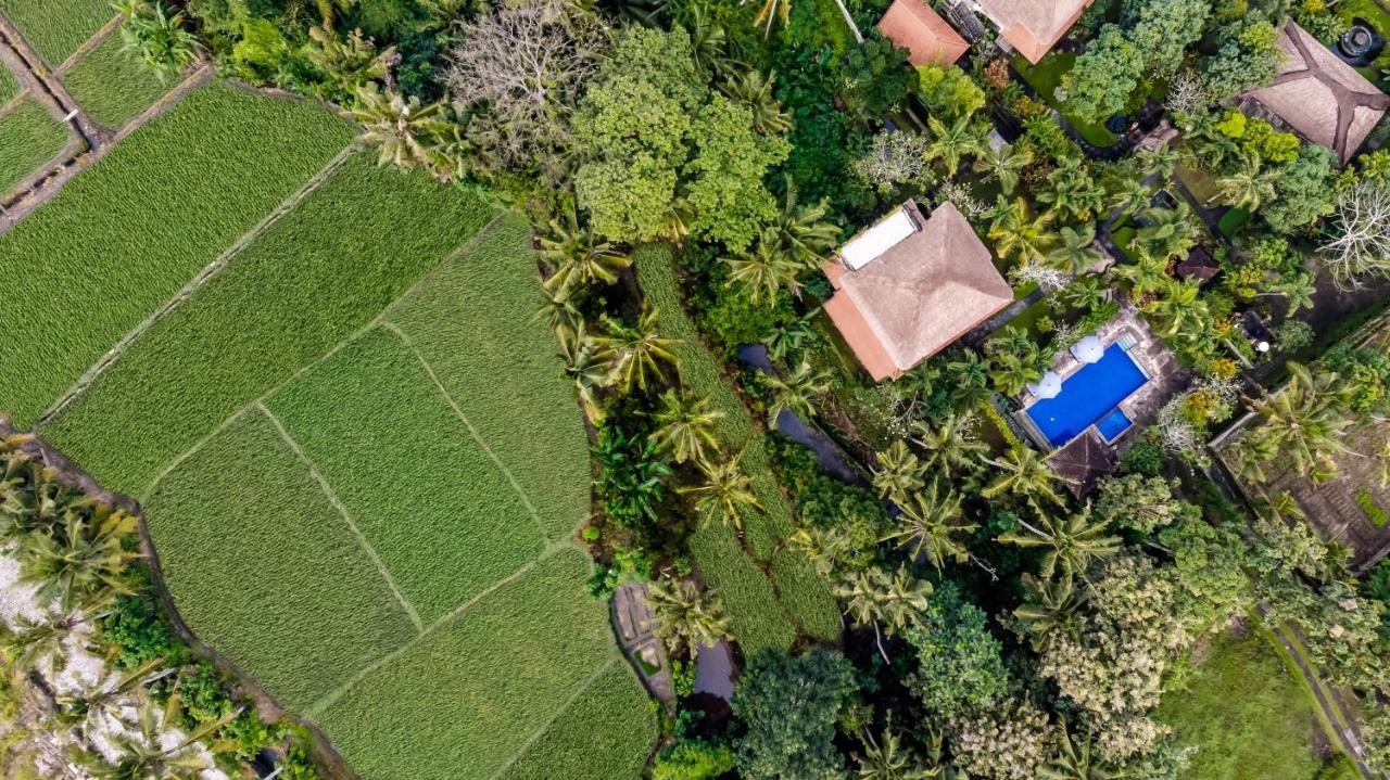Alam Shanti Ubud Экстерьер фото